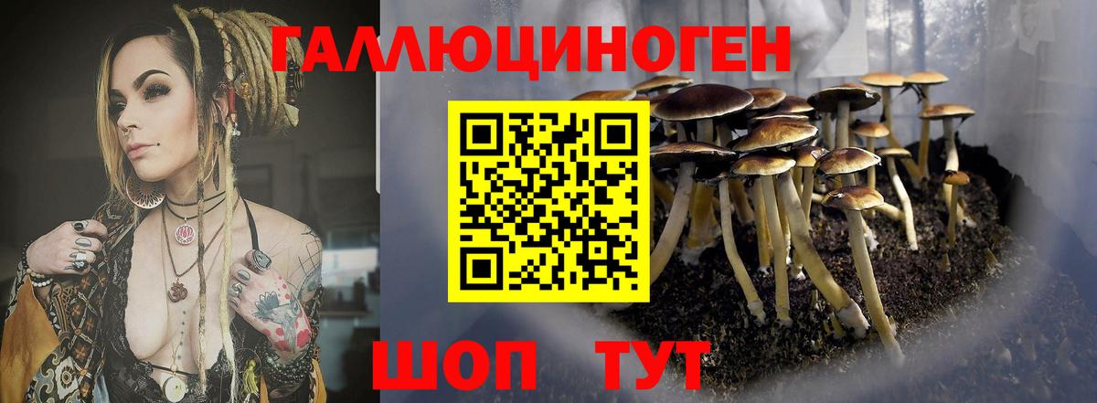 Калининград  Галлюциногенные грибы GOLDEN TEACHER  Вход с VPN 