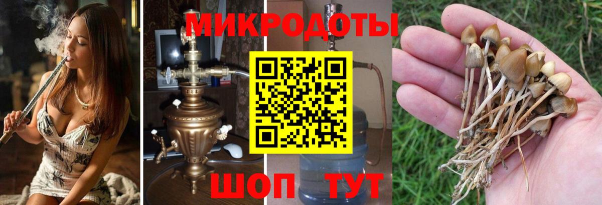 Галлюциногенные грибы мухоморы Калининград